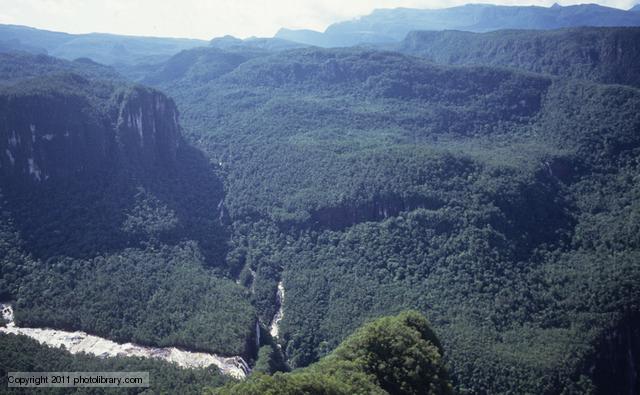 Amazonian rainforest at Serra Parima, Orinoco river basin